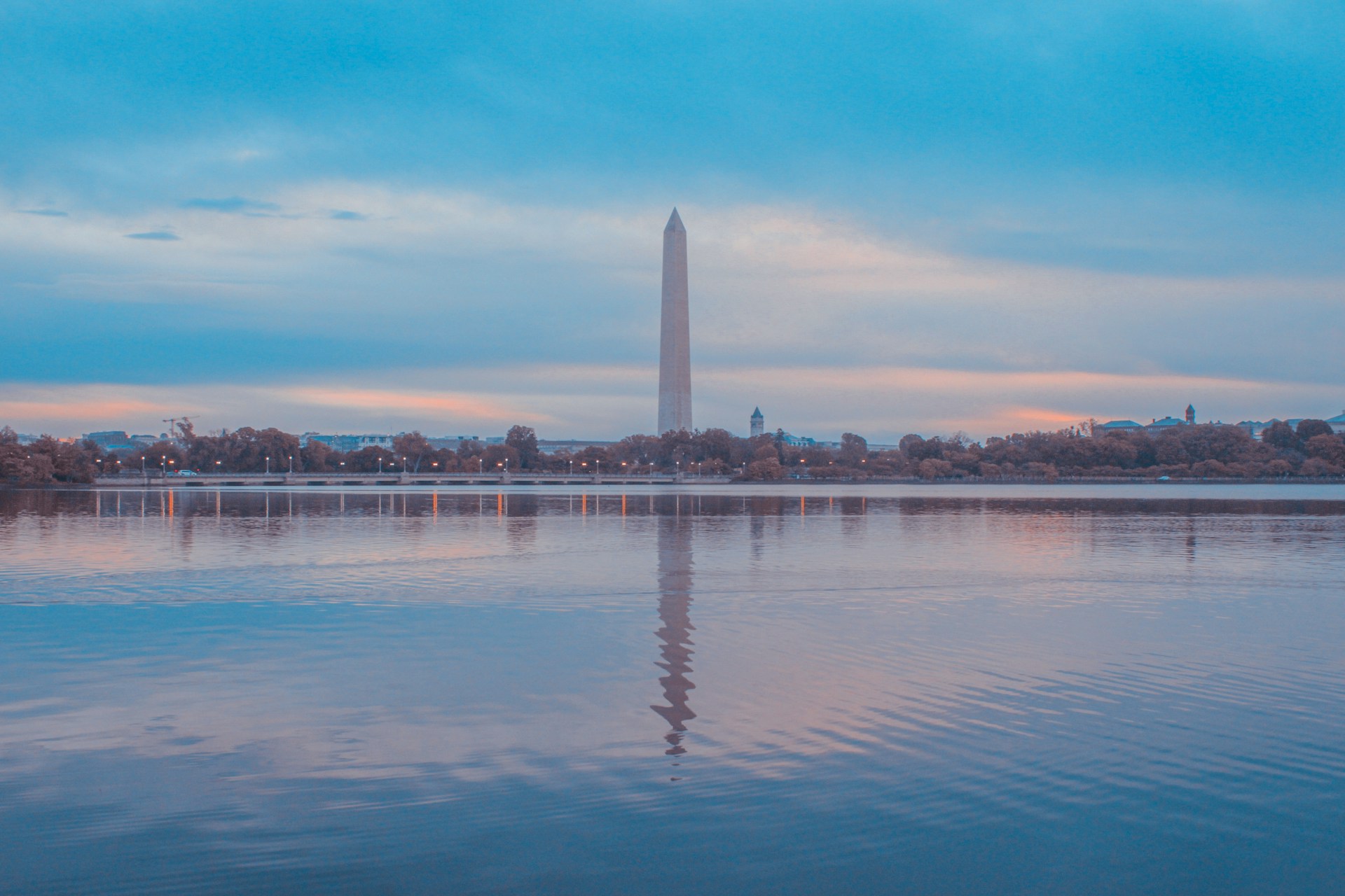 hester-qiang-kfLcXmFlb3g-unsplash
